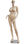 040957 maniquí realista de mujer de talla grande de pecho con cadera ladeada col - 1