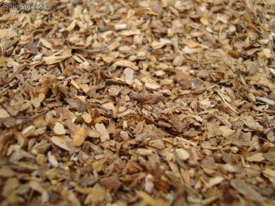 1 kilo de sustrato utilitario (tierra de tabaco)