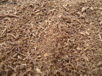 1 kilo de sustrato utilitario (turba o peat moss)