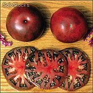 10 semillas de solanum lycopersicoides dunal (tomate heirloom)