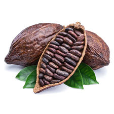 100% Poudre de cacao
