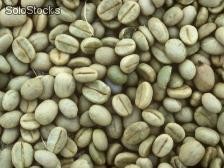 100% Qualität Robusta Coffee Bean