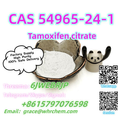 100% Safe Delivery CAS 54965-24-1 Tamoxifen citrate Factory Supply High Purity - Photo 3