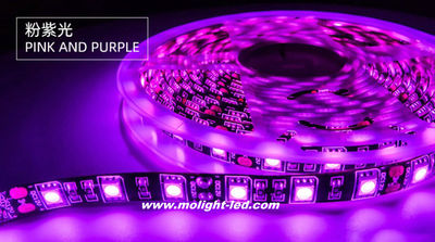 12V/24V pink and purple SMD5050 Flexible Tira LED 300LED/Roll alta calidad