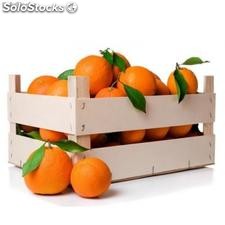 15kg Orange Box High Quality 100% Natural frisch gepflückt.