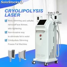 1800W RF Cacitation Cryolipolysis que adelgaza la máquina del retiro