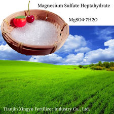 2-4mm Granular Magnesium Sulphate Heptahydrate