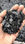 20 tons ps negro charola pastelera de extrusion - 1