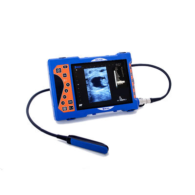 2022 Most Popular Model Factory Price Portable Veterinary Ultrasound for Animals