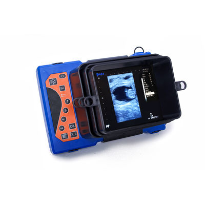 2022 Most Popular Model Factory Price Portable Veterinary Ultrasound for Animals - Foto 5