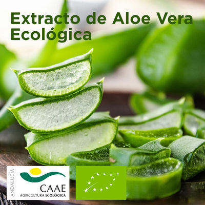 24 x 500ml | Detergente lavavajillas DermoGel manual Aloe Vera Ecológica | - Foto 3