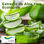24 x 500ml | Detergente lavavajillas DermoGel manual Aloe Vera Ecológica | - Foto 3