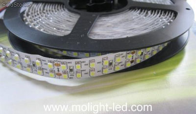 240led/Metro Tira de led flexible (smd3528), cinta led Flexible