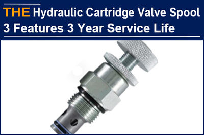 3 characteristic AAK Hydraulic Cartridge Valve Spool, have won 3 major customers