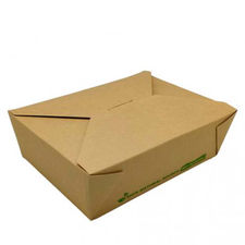 300 cajas take away 1990ml 20x14cm