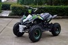 quad moto