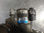 377765 bomba direccion / 5M321N / para nissan almera (N16/e) 2.2 16V Turbodiesel - Foto 3