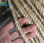 3ply sisal torcido cuerda/cuerda marina se sisal cuerdas - Foto 2