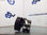 4784999 bomba direccion / QVB500400 / para land rover range rover sport 2.7 Td v - Foto 2