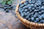 4kg blueberry orgánico exportación empacado - 1