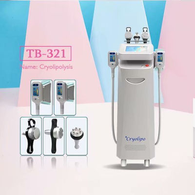 5 in 1 macchina professionale cavitazione rf di Cryolipolysis　laser Cryo　Lipo - Foto 2
