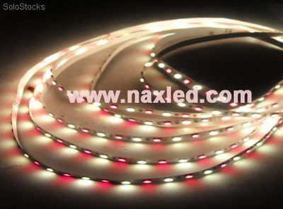 5050 smd led, tiras flexibles rgb + Blanco / rgb + cálidos colores blancos - Foto 2