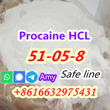 51-05-8 Procaine Hydrochloride