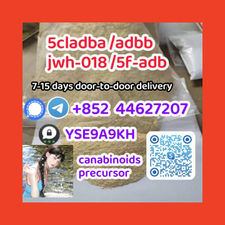 5cladba,2709672-58-0,No. 1 in sales(+85244627207) ..789
