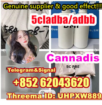 5cladba 5CL-ADB-A precursor raw Strong Cannabinoid raw material +852 62043620 - Photo 5