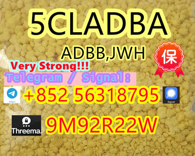 5cladba 5cl yellow powder 5cladba from best supplier - Photo 4