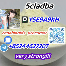 5cladba,adbb,jwh,(+85244627207),Reliable Supplier