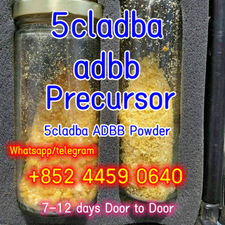 5cladba adbb Precursor