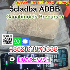 5cladba cannabinoid 5cladba precursor powder adbb powder whapp+85263870338