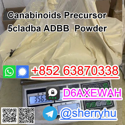 5cladba precursor 5cl yellow powder with fast delivery - Photo 3