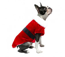 6072 Vestido navideño con cierre y banda para perros pequeño