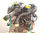 6421257 motor completo / K9K750 / para renault modus 1.5 dCi Diesel - 1