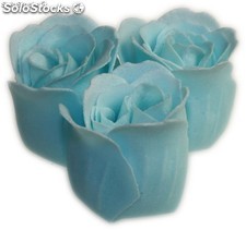 6x 3 rose - Baby Blu
