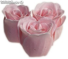 6x 3 rose - Rosa