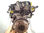 7027379 despiece motor / 4N13 / para mitsubishi asx (GA0W) 1.8 di-d cat - Foto 2