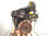 7093035 motor completo / dft / dfta / para audi Q3 (8UG) Attraction quattro - Foto 4