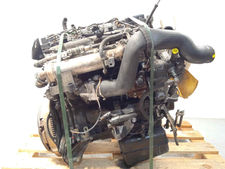 7213962 despiece motor / ZD3608 / ZD3A608 / para renault mascott Fg 150. 35/55/6