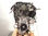 7228022 motor completo / A25A / A25AFXS / para toyota RAV4 * - Foto 2