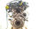 7238188 motor completo / unda / para ford kuga Titanium - Foto 2