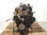 7312621 despiece motor / F1AGL411D / 1AGL411D / para fiat ducato maxi furgón g. - Foto 3