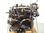 7312621 despiece motor / F1AGL411D / 1AGL411D / para fiat ducato maxi furgón g. - 1
