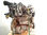 7360518 motor completo / K9K628 / para renault clio iv 1.5 dCi Diesel fap - 3