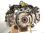 7396094 motor completo / FB16 / para subaru impreza G13 1.6 cat - 1