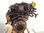 7401441 motor completo / bsy / para mitsubishi grandis (NA0W) 2.0 di-d cat - 2