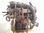 7401441 motor completo / bsy / para mitsubishi grandis (NA0W) 2.0 di-d cat - 3
