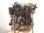 7403159 motor completo / K9K646 / para nissan qashqai (J11) 1.5 Turbodiesel cat - 1